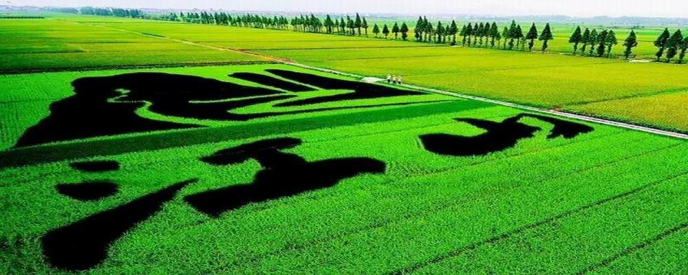 家乡故事之江山市现代农业发展“十三五”规划